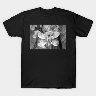 Orchids - Drawing by Avril Thomas - Adelaide / South Australia Artist T-Shirt